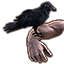 Crow's Calling icon